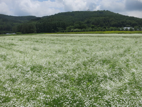 2014/06/24の写真