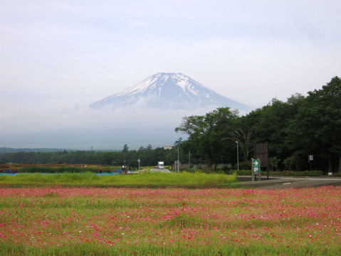 2014/07/03の写真