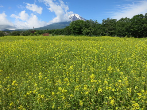 2014/06/29の写真