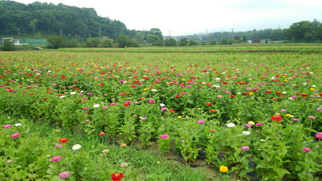 2014/07/18の写真