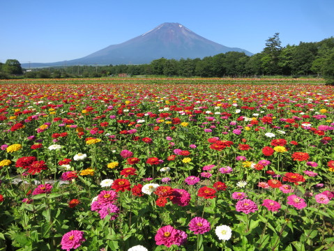 2014/07/27の写真