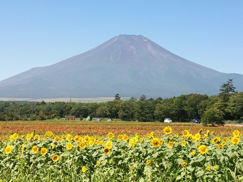 2014/08/22の写真