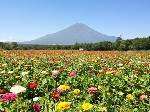 2014/08/22の写真