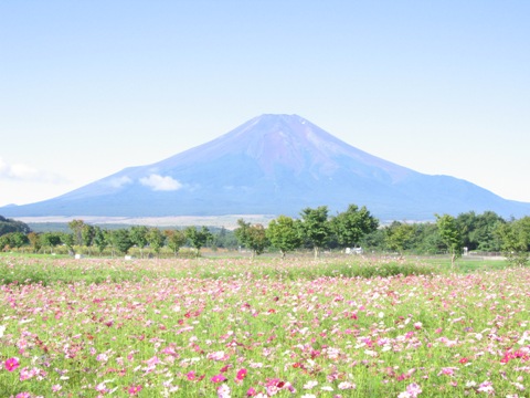 2007/09/04の写真