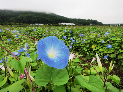 2014/09/07の写真