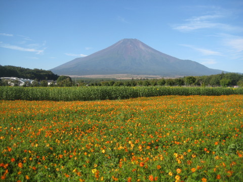 2014/09/21の写真