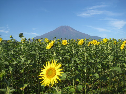 2014/09/21の写真