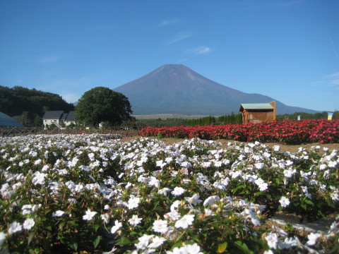 2014/09/21の写真