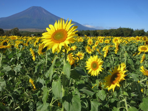 2014/09/27の写真