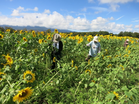 2014/09/27の写真