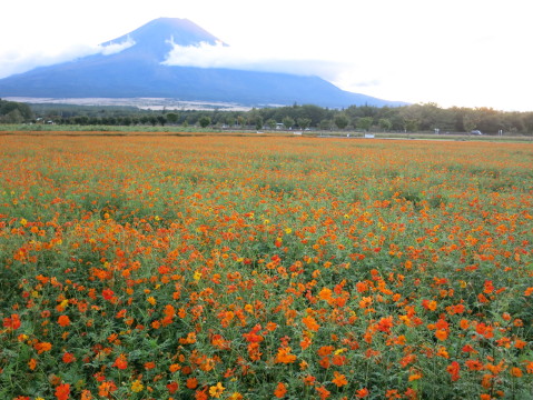 2014/10/06の写真