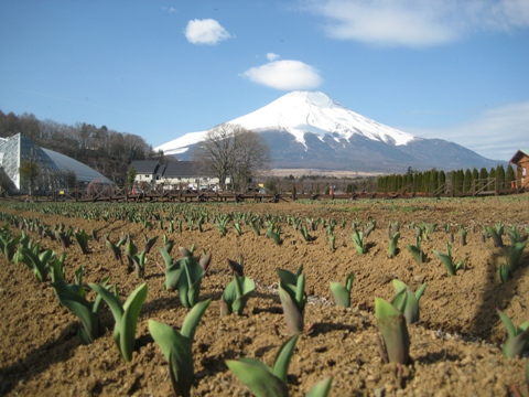 2015/03/29の写真