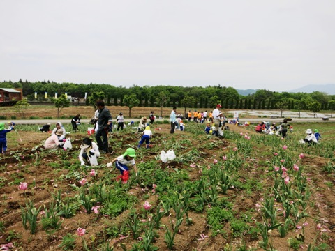 2015/05/23の写真