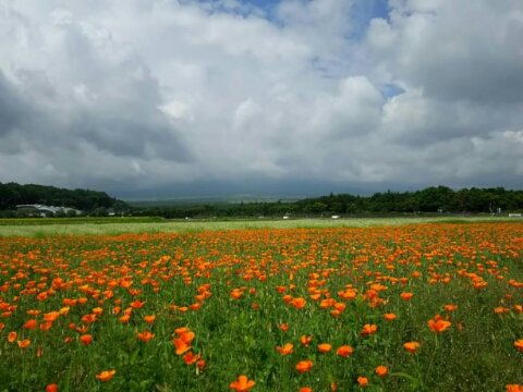 2015/06/23の写真