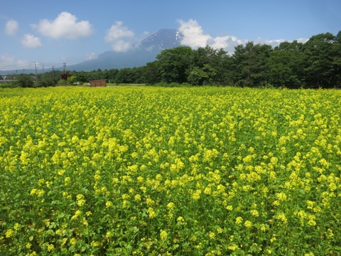 2015/06/25の写真