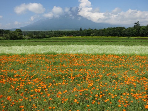 2015/06/25の写真