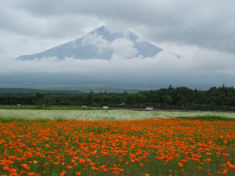 2015/06/26の写真