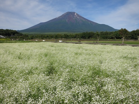 2015/06/28の写真