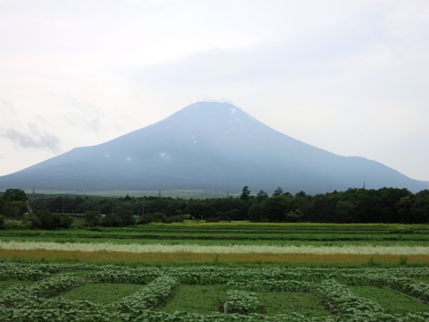 2015/07/04の写真