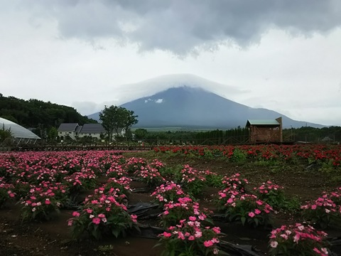 2015/07/18の写真