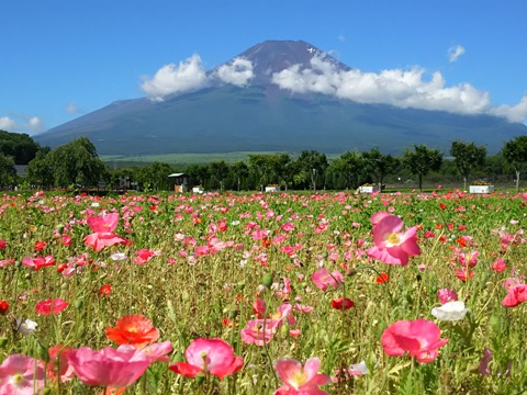 2015/07/21の写真