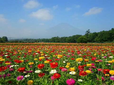 2015/08/03の写真