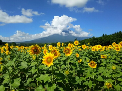 2015/08/06の写真