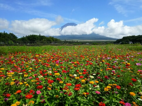 2015/09/04の写真