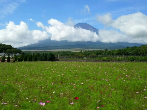 2015/09/04の写真