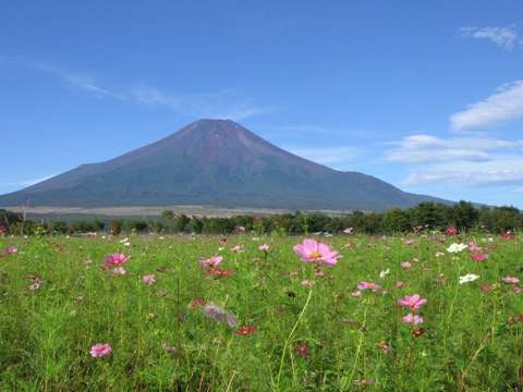 2007/09/18の写真