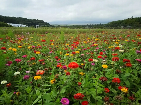 2015/09/15の写真