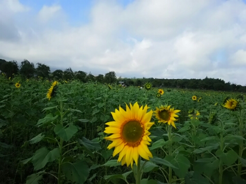 2015/09/28の写真