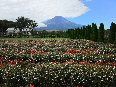 2015/10/02の写真