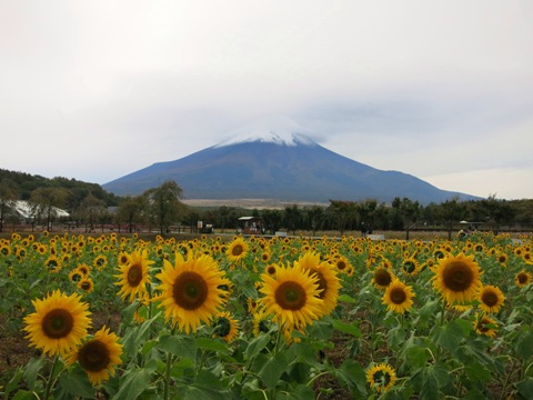 2015/10/11の写真