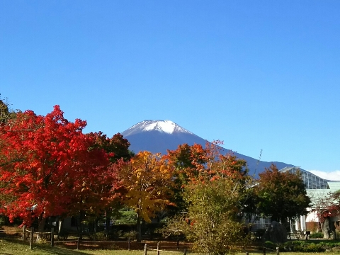 2015/10/27の写真