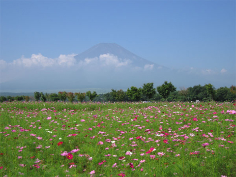 2006/08/11の写真