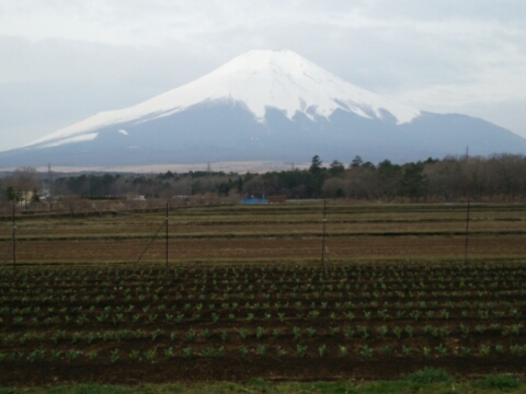 2016/04/01の写真