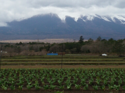 2016/04/08の写真