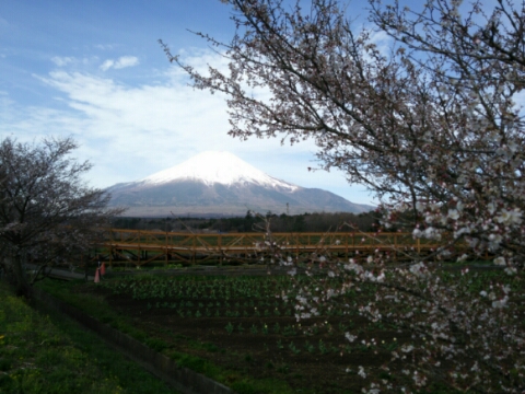 2016/04/18の写真