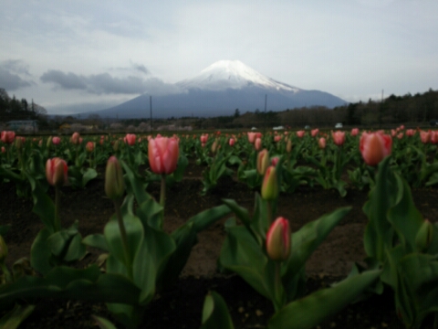 2016/04/21の写真