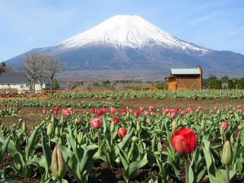 2016/04/22の写真