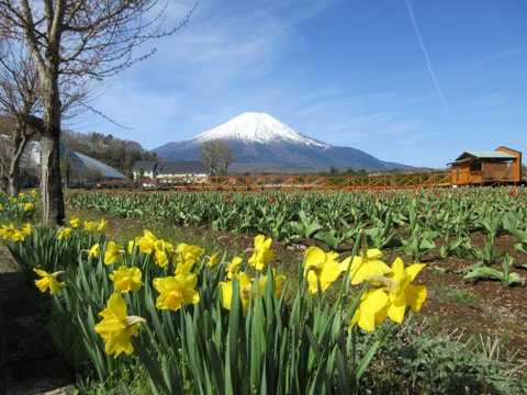 2016/04/22の写真