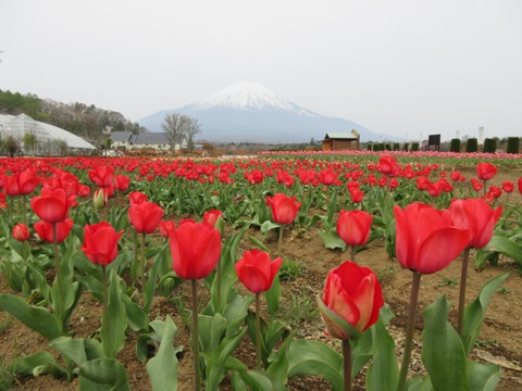 2016/04/27の写真