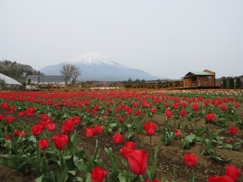 2016/04/27の写真