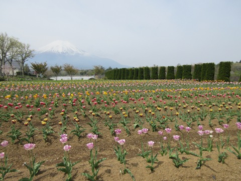 2016/05/03の写真