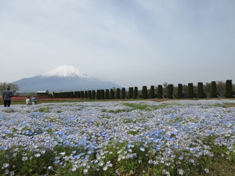 2016/05/03の写真