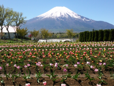 2016/05/04の写真