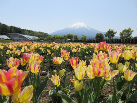 2016/05/07の写真