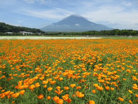 2016/07/02の写真