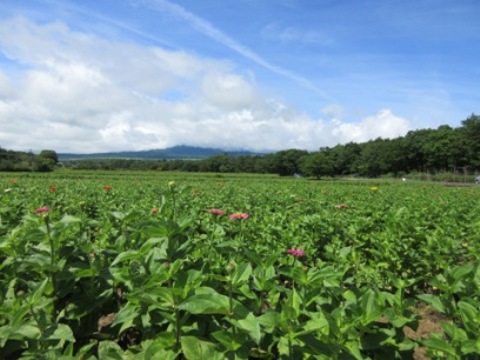 2016/07/10の写真